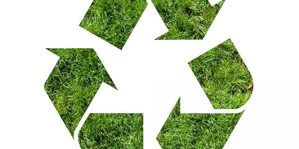 green waste